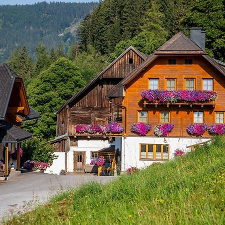 Bio-Bauernhof Grundlehnerhof Casa de hóspedes Ramsau am Dachstein Exterior foto