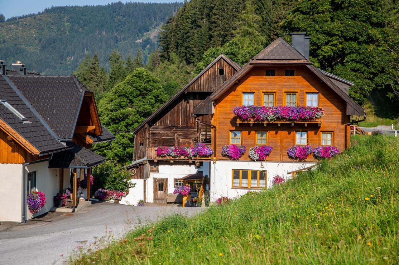 Bio-Bauernhof Grundlehnerhof Casa de hóspedes Ramsau am Dachstein Exterior foto