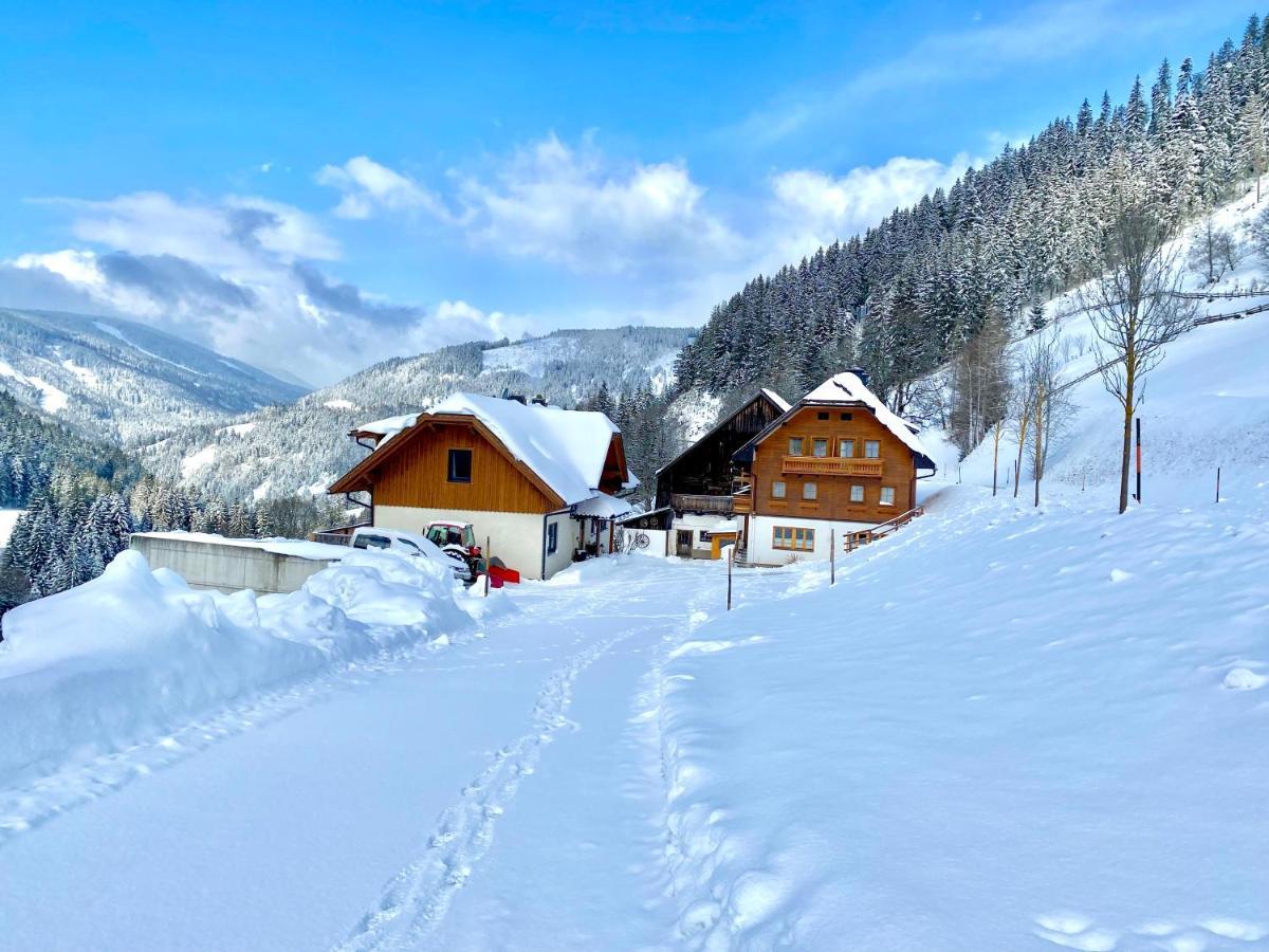 Bio-Bauernhof Grundlehnerhof Casa de hóspedes Ramsau am Dachstein Exterior foto