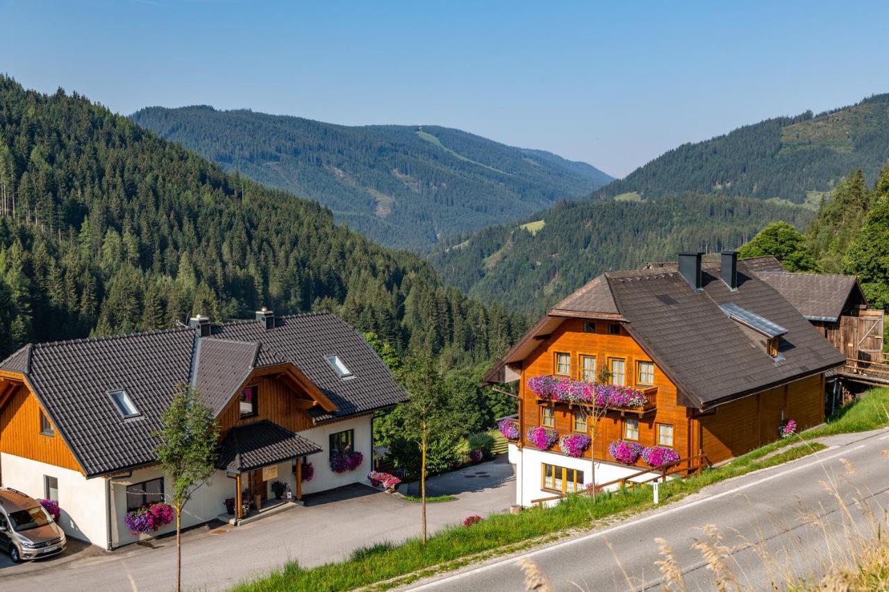Bio-Bauernhof Grundlehnerhof Casa de hóspedes Ramsau am Dachstein Exterior foto